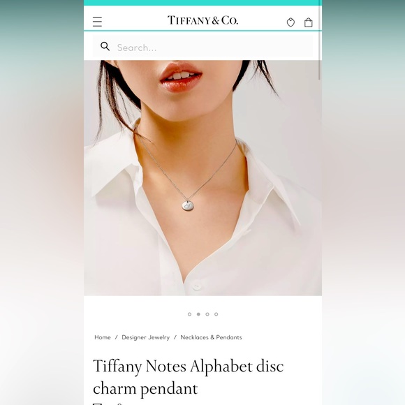 Tiffany & Co. Jewelry - One size silver. New Tiffany necklace